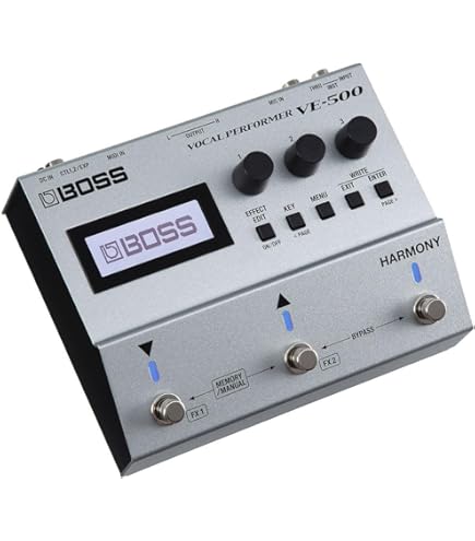 Amazon | BOSS ボス ループステーション RC-600 多機能ルーパー フロア