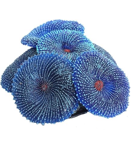 Amazon | LTWHOME ウミウチワ ウミマツ 本物サンゴ飾り 金魚鉢装飾