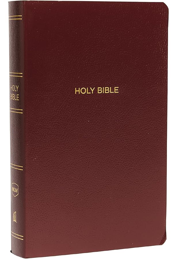 洋書 HOLY BIBLE Amazon | The Holy Bible in English easy to read version New & Old