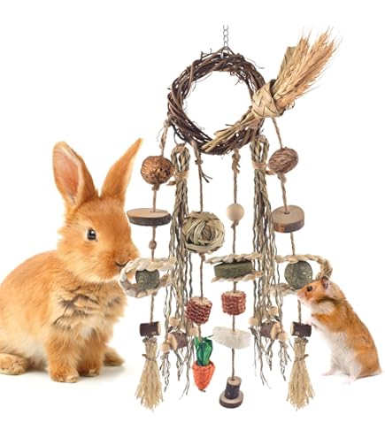 Kaytee Perfect Chews Guinea Pig Ka-Bob Colorful Wooden Toy For Small