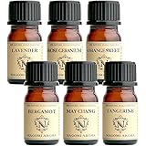 アロマオイル エッセンシャルオイル お試しセット (リラックス) 5mlx6本 アロマ 天然 精油 NAGOMI AROMAナゴミアロマ 【AEAJ表示基準適合認定精油】 ラベンダー オレンジスイート ベルガモット タンジェリン ゼラニウム メイチャ