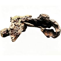 Amazon.co.jp: predolo あく抜き済み 流木 4-8cm アクアリウム 苔