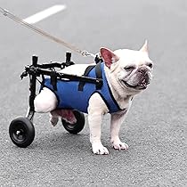 Amazon.co.jp: 犬用車椅子 フレンチブルドッグ 犬用車椅子 ポータブル