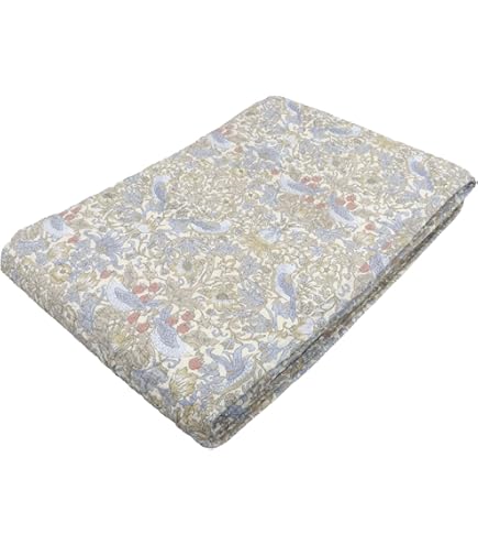 Amazon｜ロマンス小杉 公式 ねむりのアトリエ V＆A いちご泥棒