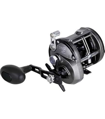 Amazon | 大阪漁具(OGK) ビッグトロール3 1000 トルクフルなPEライン付