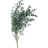 Amazon ユーカリ ドライフラワー 花材 ドライフラワー オンライン通販