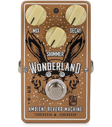 Amazon | Laney (レイニー) Black Country Customs Boost Pedal