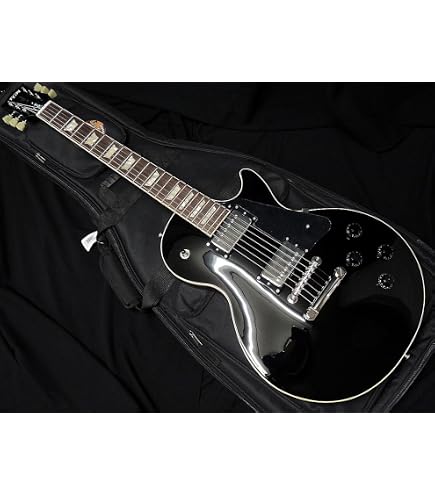 Amazon | フジゲン エレキギター FUJIGEN FGN NLC200EMH BLK Neo