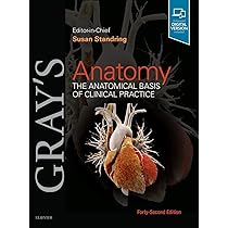 【新品未開封・コード未使用】Gray’s Anatomy42nd Edition Gray's Anatomy International Edition: 42nd edition | Edited by