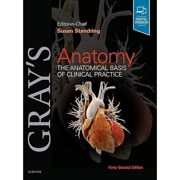 Amazon | Gray's Anatomy: The Anatomical Basis of Clinical