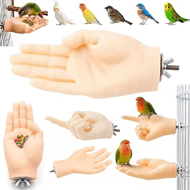Amazon.co.jp 最新リリース: 鳥用品 の新着ランキングです。
