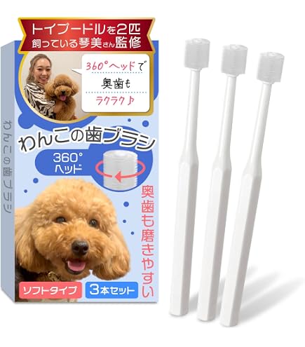 【新品未使用】犬口ケア 犬用 歯ブラシ シリンダーヘッド(レギュラー) 81個 Amazon.co.jp: 犬口ケア 歯ブラシ シリンダーヘッド | 愛犬歯磨き 愛犬