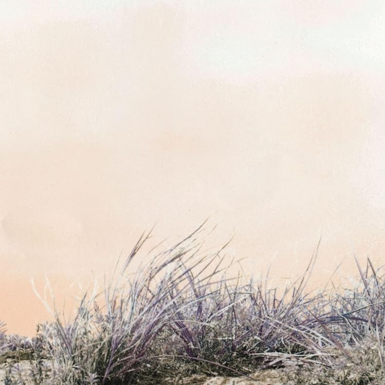 【新品】アートスクールレコード2枚RequiemforInnocence他 Amazon.co.jp: REQUIEM FOR INNOCENCE [Analog]: ミュージック