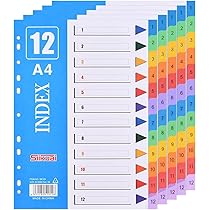 ex-ページ Amazon | 5枚 インデックス A4 サイズ カラーインデックスシート