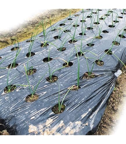 Amazon.co.jp: Agricultural Multi, Kokkaen, Silver and Black