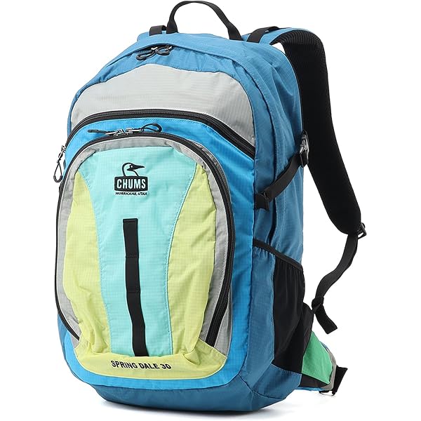 Amazon.co.jp: [チャムス] スプリングデール 25 Spring Dale 25