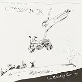 Ear-Bleeding Country: The Best of Dinosaur Jr
