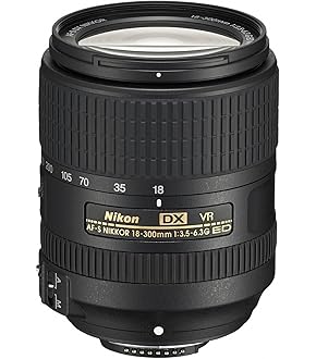 レンズ(ズーム) Vintage Japan NIKON AF-S 28-300mm ニコン AF-S NIKKOR 28-300mm f/3.5-5.6G ED VR 価格比較 - 価格.com
