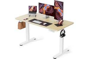 ErGear 電動 オフィスワークテーブル 昇降式デスク スタンディングデスク 幅120cm 耐荷重80kg 高さメモリー機能 上下自動昇降 静音 収納フック付き 机 作業机 テレワーク【幅120 x 奥行き60 x 高さ72-118cm】