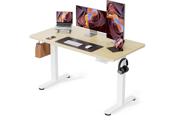 ErGear 電動 オフィスワークテーブル 昇降式デスク スタンディングデスク 幅120cm 耐荷重80kg 高さメモリー機能 上下自動昇降 静音 収納フック付き 机 作業机 テレワーク【幅120 x 奥行き60 x 高さ72-118cm】