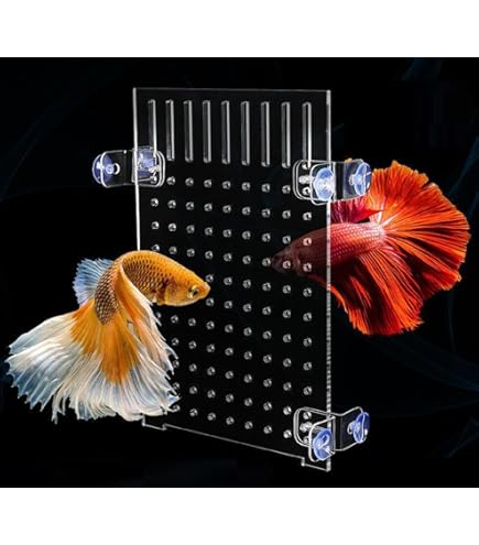 Amazon.co.jp: 水槽仕切り板 20 セパレーター 水槽用 魚隔離板 透明