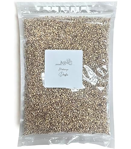 Amazon | 新麦 令和8年産 ダイシモチ 10kg (2kg×5袋) 紫もち麦
