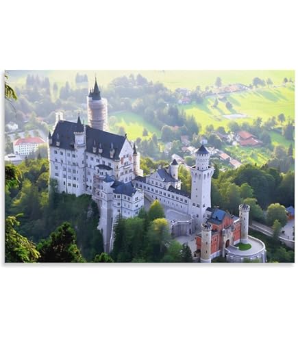 Amazon.co.jp: ノイシュヴァンシュタイン城 風景 山の眺め 風景画