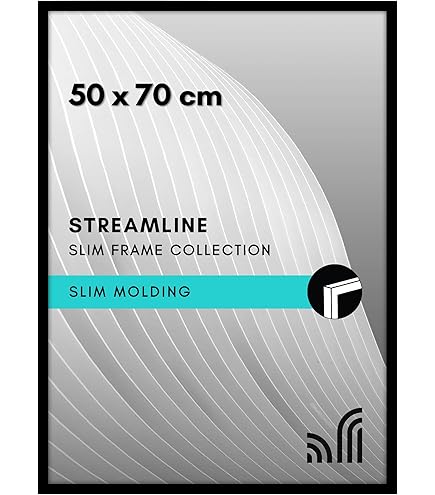 Amazon.co.jp: 受注生産限定 マキシマムザホルモン フレーム入りアート