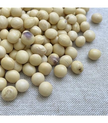 Amazon.co.jp: 輸入大豆 カナダ産大豆 NON-GMO（遺伝子組み換えでは