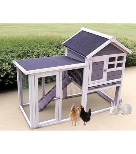 Amazon | 鶏用ケージ ペットケージ 大型 4～6羽用 飼育小屋 産卵室付き