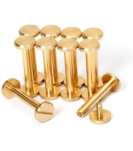 Amazon.co.jp: シカゴスクリュー 10個入り 10×4×20mm 真鍮組ネジ