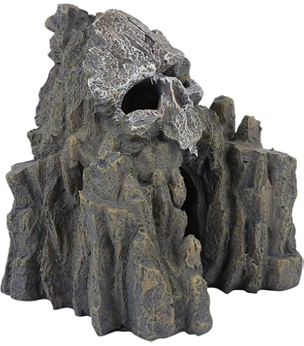 龍王石　極美形　42cm 16kg Amazon.co.jp: 【3枚セット】 遊戯王カード QCCP-JP001 青眼の白