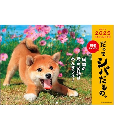 Amazon.co.jp: アクティブコーポレーション 2025年 カレンダー 壁掛け