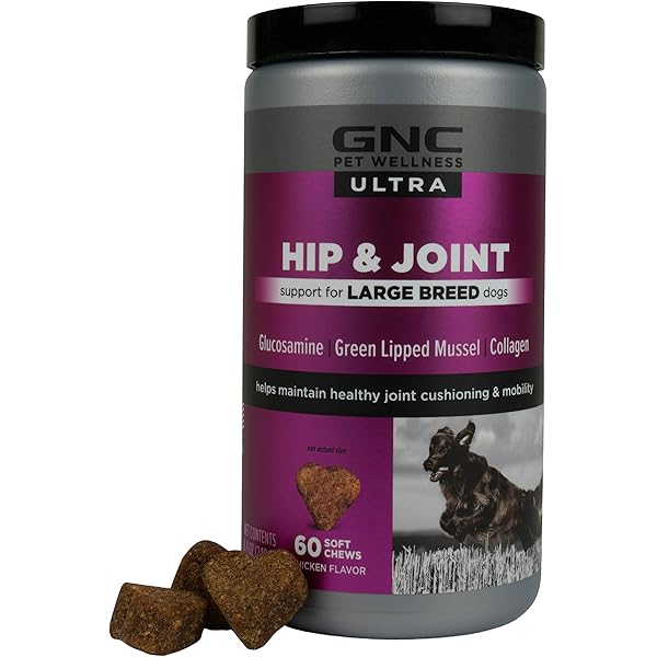 bully max hip and joint