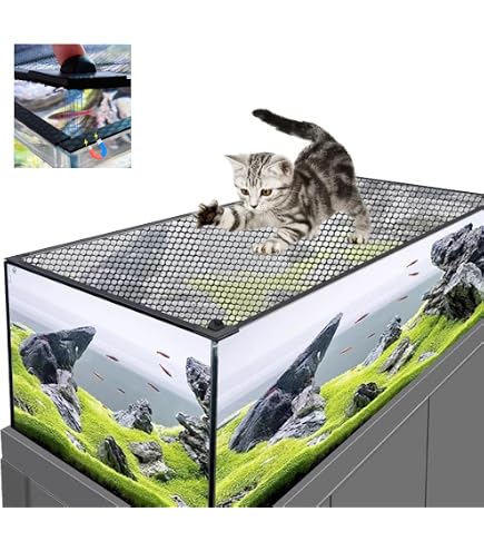 FRP水槽用容器 クリア Amazon.co.jp: FRP水槽用容器 クリア : ペット用品