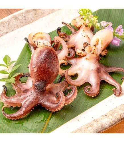 Amazon.co.jp: たこボール 1kg（約65ケ） 業務用 冷凍 : 食品・飲料・お酒