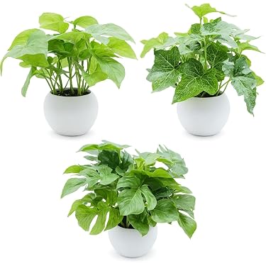 Amazon.co.jp 売れ筋ランキング: 造花・人工植物 の中で最も人気のある