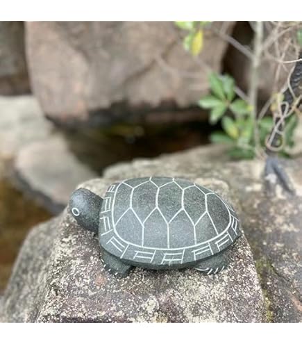 Amazon.co.jp: [S.T.S.G] 置物 カメ 亀 石 庭 ガーデニング 手彫り