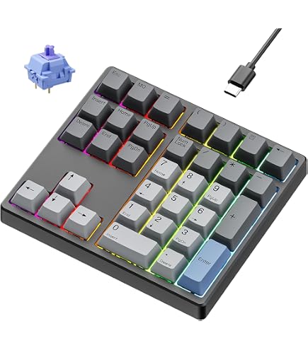 Amazon.co.jp: Kisnt メカニカルテンキー KN34 フル機能 ヘビー