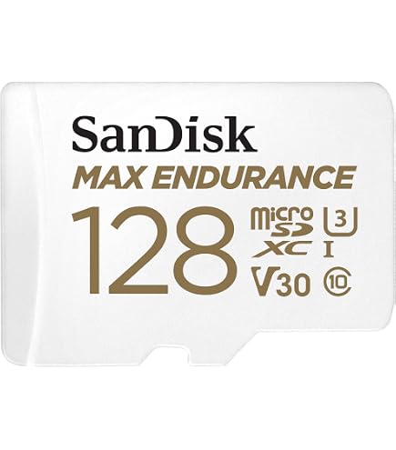 マイクロSD 64GBカード Amazon | SanDisk 64GB MAX Endurance microSDXC Card with Adapter