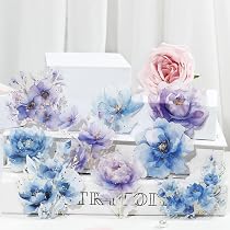 ＋B】フローラルプリンセス桜♡ロングPETステ10枚♡コラージュ素材