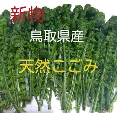 北海道産天然こごみ　3kg Amazon.co.jp 売れ筋ランキング: こごみ の中で最も人気のある商品です