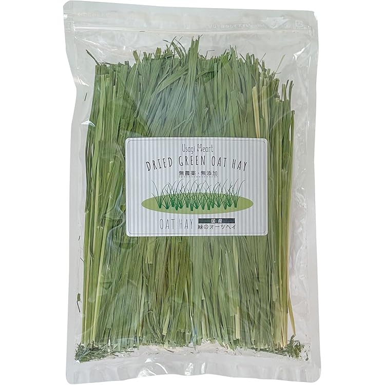 天然 明日葉200g〜220gビワの葉5枚プレゼントうさぎや小動物のおやつに♪ 天然 明日葉200g〜220gビワの葉5枚プレゼントうさぎや小動物のおやつに