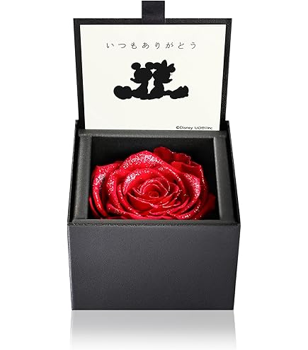 Amazon｜【限定】 ニコライバーグマン ブリザーブドフラワー 小サイズ