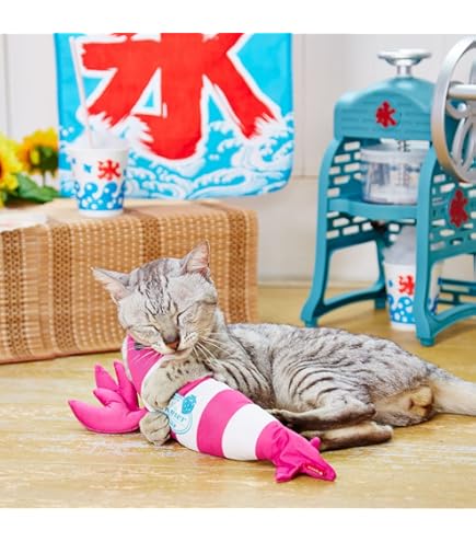 Amazon.co.jp: とことこ歩いてニャーニャー鳴く子猫たち 黒ねこ