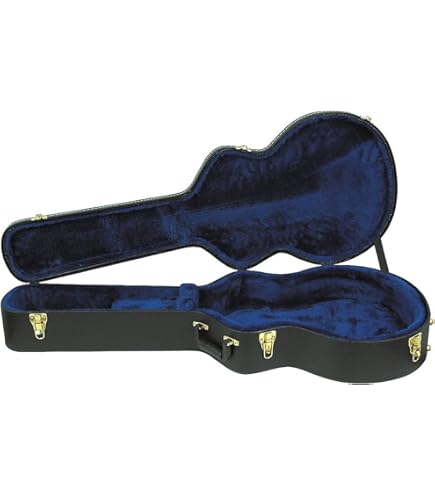 Amazon | Ibanez アイバニーズ Artcore AF55 Hollow-Body エレキギター