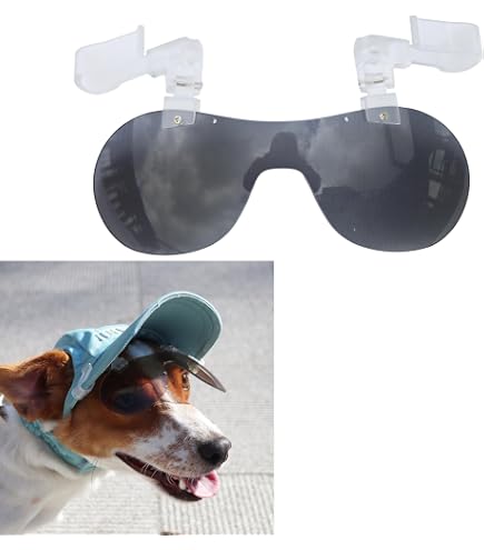 Amazon | FlukeForest(フルークフォレスト) 犬用 サングラス UVカット
