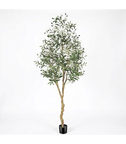 Amazon｜IKEA イケア 人工観葉植物 室内/屋外用/ケンチャヤシ 21cm