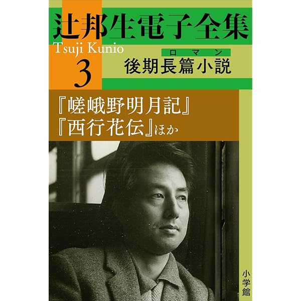 Amazon.co.jp: 辻邦生電子全集 2巻 中期大長篇小説（ロマン） 『春の