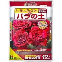 アップルウェアー　バラ鉢8号まとめ売り 3_000000007214.jpg?1718081058